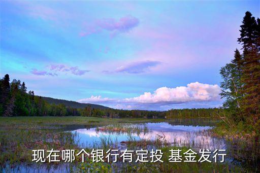 博時(shí)現(xiàn)金寶貨幣市場(chǎng)基金,博時(shí)興盛貨幣市場(chǎng)基金代碼