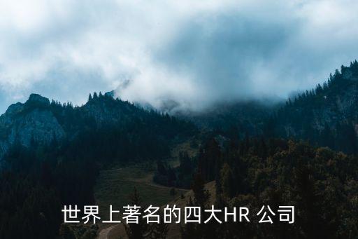 全球員工數最多公司,AMD全球員工數