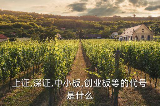 中小板市場股票數,同花順中小板股票怎么找