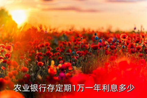  農業(yè)銀行存定期1萬一年利息多少