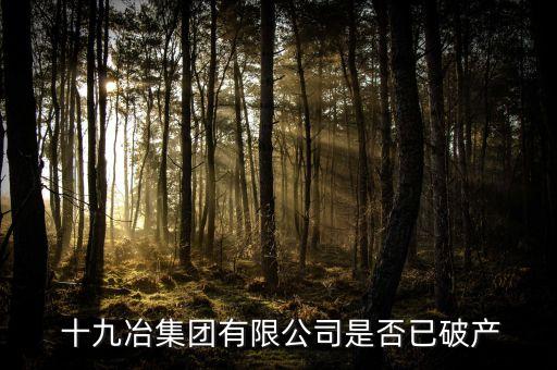  十九冶集團有限公司是否已破產