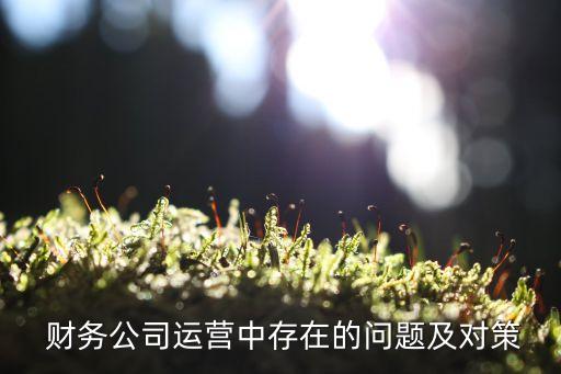 華誠財(cái)務(wù)集團(tuán)破產(chǎn),中國華誠集團(tuán)財(cái)務(wù)有限責(zé)任公司