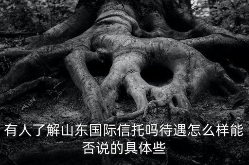 有人了解山東國(guó)際信托嗎待遇怎么樣能否說的具體些