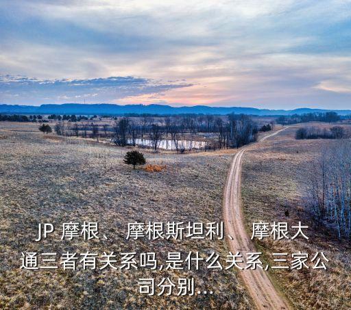 JP 摩根、 摩根斯坦利、 摩根大通三者有關(guān)系嗎,是什么關(guān)系,三家公司分別...