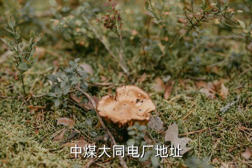 中煤大同電廠(chǎng)地址