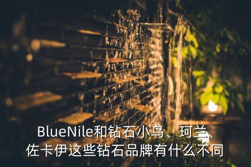 BlueNile和鉆石小鳥(niǎo)、珂蘭、佐卡伊這些鉆石品牌有什么不同