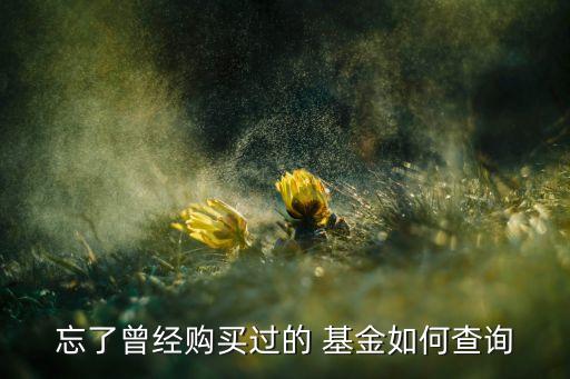 忘了曾經(jīng)購(gòu)買(mǎi)過(guò)的 基金如何查詢