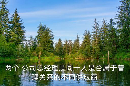 兩個 公司總經(jīng)理是同一人是否屬于管理關(guān)系的不同供應商