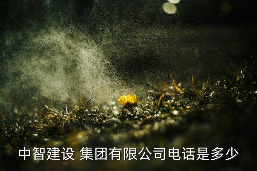 中智建設(shè) 集團(tuán)有限公司電話(huà)是多少