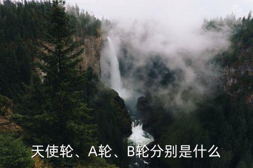 天使輪、A輪、B輪分別是什么