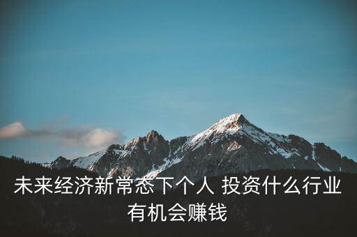 未來經濟新常態(tài)下個人 投資什么行業(yè)有機會賺錢