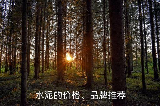上海自貿區(qū)南方水泥,上海南方水泥主要領導名單