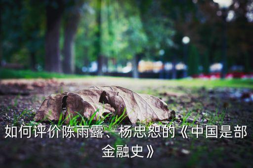 如何評(píng)價(jià)陳雨露、楊忠恕的《中國(guó)是部 金融史》