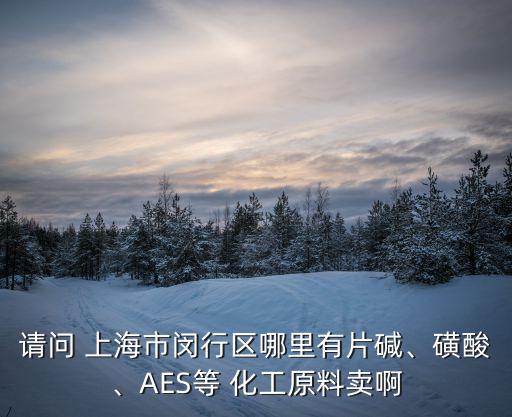 請問 上海市閔行區(qū)哪里有片堿、磺酸、AES等 化工原料賣啊