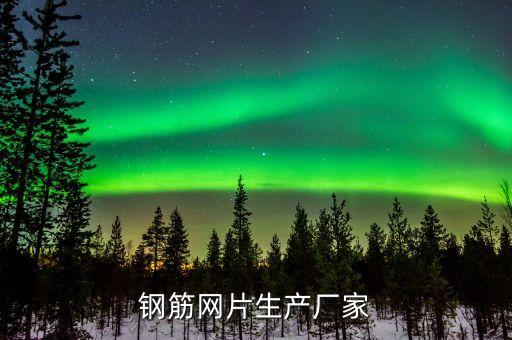 鋼筋網(wǎng)片生產廠家