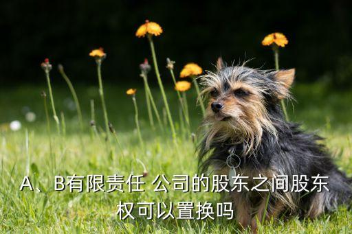 A、B有限責(zé)任 公司的股東之間股東權(quán)可以置換嗎