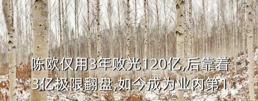  陳歐僅用3年敗光120億,后靠著3億極限翻盤(pán),如今成為業(yè)內(nèi)第1