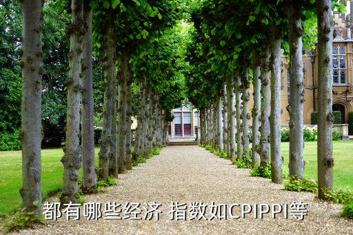 都有哪些經濟 指數如CPIPPI等