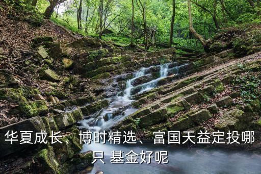 華夏成長、博時精選、富國天益定投哪只 基金好呢
