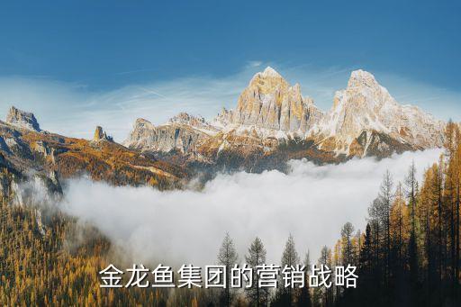 金龍魚(yú)集團(tuán)的營(yíng)銷戰(zhàn)略
