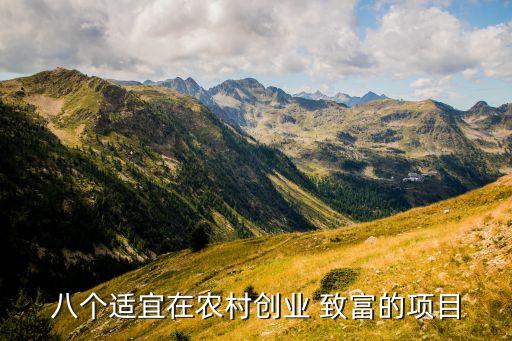 八個適宜在農(nóng)村創(chuàng)業(yè) 致富的項(xiàng)目