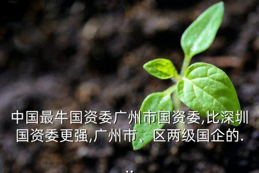 中國最牛國資委廣州市國資委,比深圳國資委更強,廣州市、區(qū)兩級國企的...