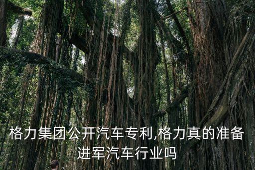 格力集團(tuán)公開(kāi)汽車(chē)專(zhuān)利,格力真的準(zhǔn)備進(jìn)軍汽車(chē)行業(yè)嗎
