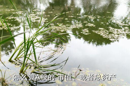 怎么算A股的 市值、或者總資產(chǎn)