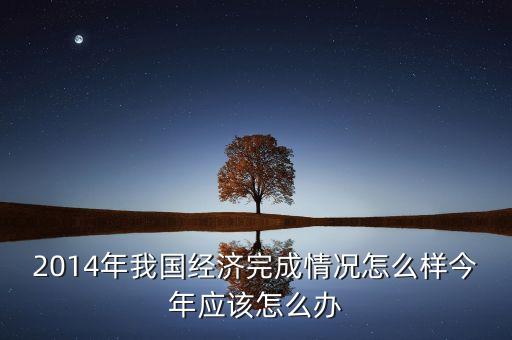 2014年我國經濟完成情況怎么樣今年應該怎么辦