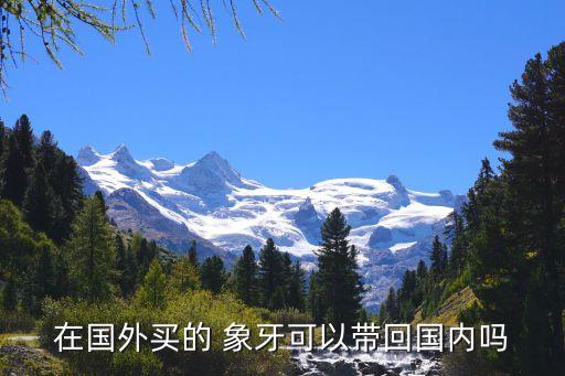 在國(guó)外買的 象牙可以帶回國(guó)內(nèi)嗎