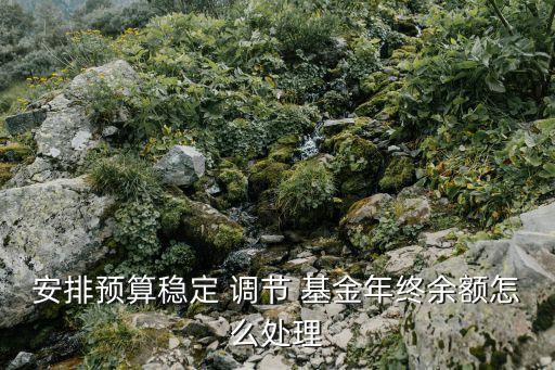 安排預算穩(wěn)定 調(diào)節(jié) 基金年終余額怎么處理