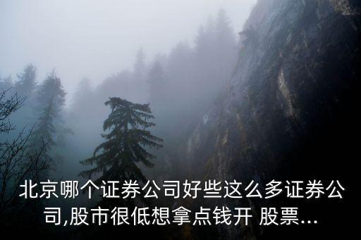  北京哪個(gè)證券公司好些這么多證券公司,股市很低想拿點(diǎn)錢(qián)開(kāi) 股票...