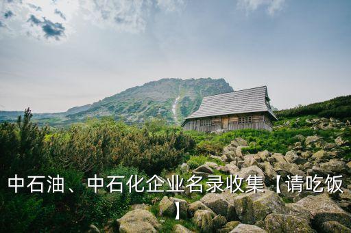 中石油、中石化企業(yè)名錄收集【請(qǐng)吃飯】