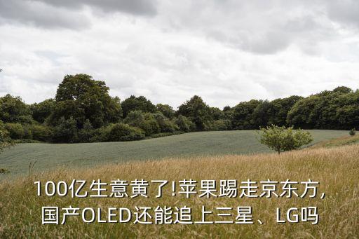 100億生意黃了!蘋果踢走京東方,國產(chǎn)OLED還能追上三星、LG嗎