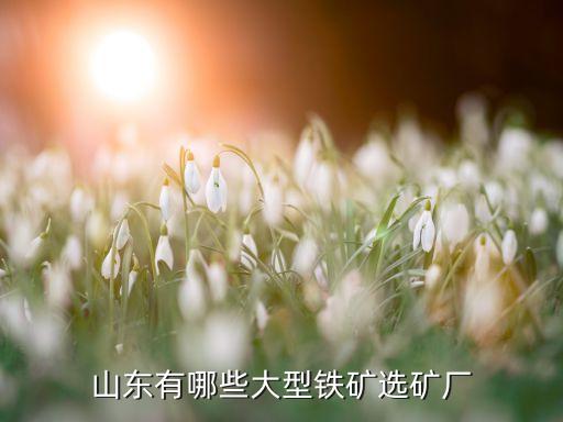 山東有哪些大型鐵礦選礦廠(chǎng)