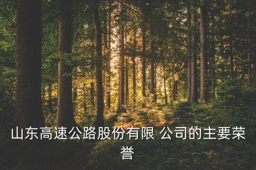 2010中國公司治理指數,阿里巴巴公司治理指數
