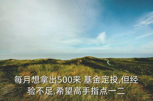 每月想拿出500來 基金定投,但經驗不足,希望高手指點一二