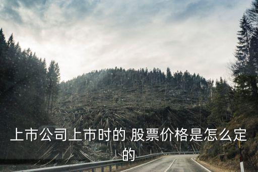 上市公司上市時的 股票價(jià)格是怎么定的