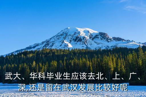 武大、華科畢業(yè)生應(yīng)該去北、上、廣、深,還是留在武漢發(fā)展比較好呢