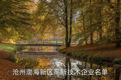 滄州渤海新區(qū)高新技術企業(yè)名單
