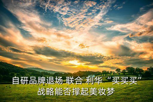 自研品牌退場(chǎng) 聯(lián)合 利華“買(mǎi)買(mǎi)買(mǎi)”戰(zhàn)略能否撐起美妝夢(mèng)