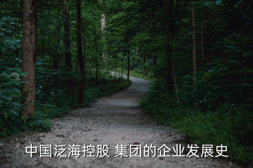 中國泛?？毓?集團(tuán)的企業(yè)發(fā)展史