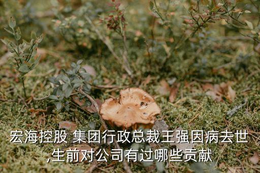 宏?？毓?集團(tuán)行政總裁王強(qiáng)因病去世,生前對公司有過哪些貢獻(xiàn)