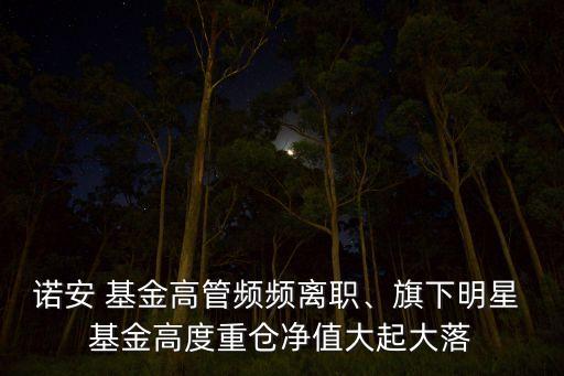 諾安 基金高管頻頻離職、旗下明星 基金高度重倉凈值大起大落