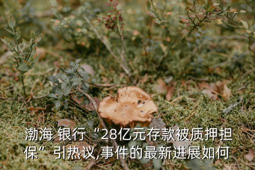  渤海 銀行“28億元存款被質押擔?！币裏嶙h,事件的最新進展如何