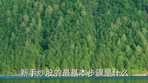 股票新手入市,茅臺股票什么時(shí)間入市