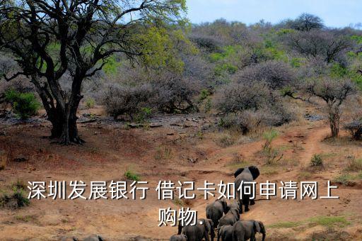  深圳發(fā)展銀行 借記卡如何申請網上購物.