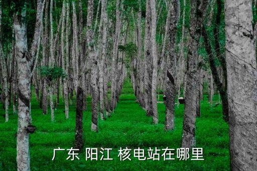陽(yáng)江核電基地開發(fā)有限公司,中廣核核電運(yùn)營(yíng)有限公司陽(yáng)江分公司