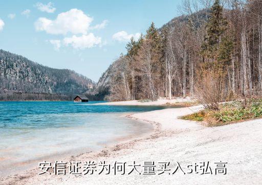  安信證券為何大量買(mǎi)入st弘高