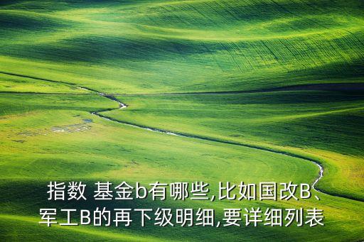  指數(shù) 基金b有哪些,比如國改B、軍工B的再下級明細,要詳細列表